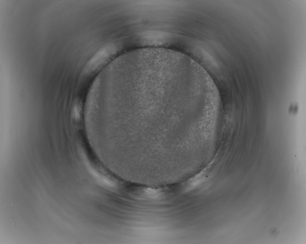 X0000090440166200707272202