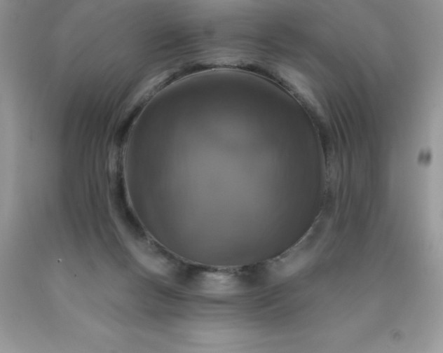 X0000090440167200707272202