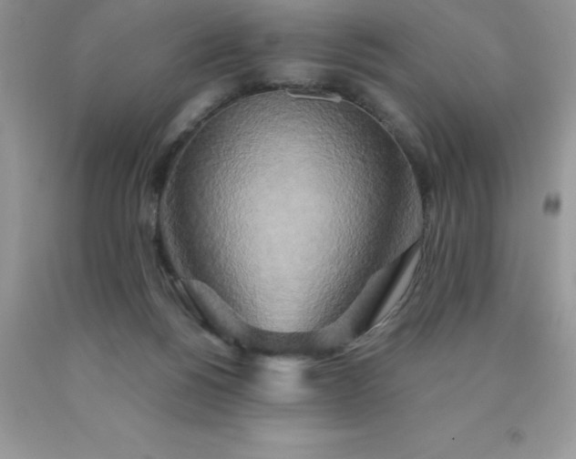 X0000090440168200707272202