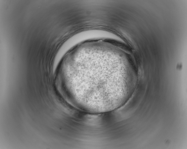 X0000090440170200707272202