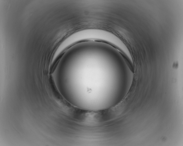 X0000090440172200707272202