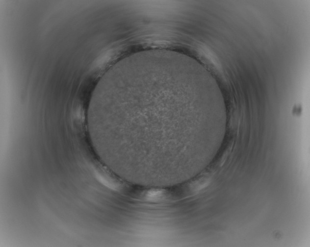 X0000090440173200707272202