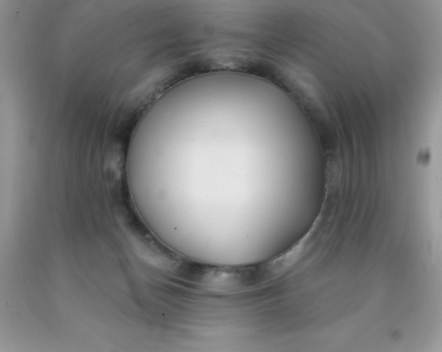 X0000090440174200707272202