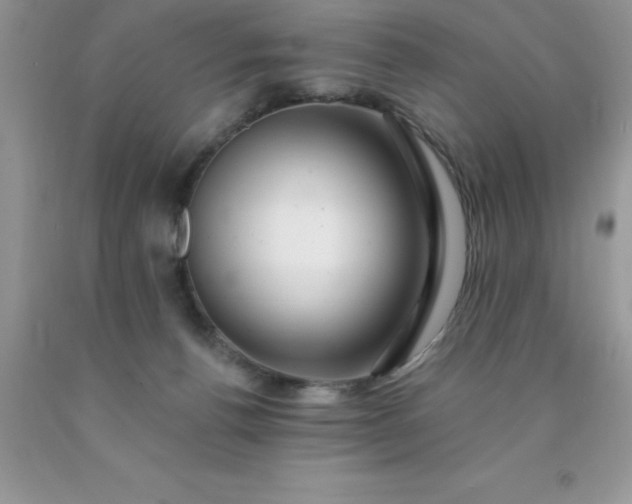 X0000090440176200707272202