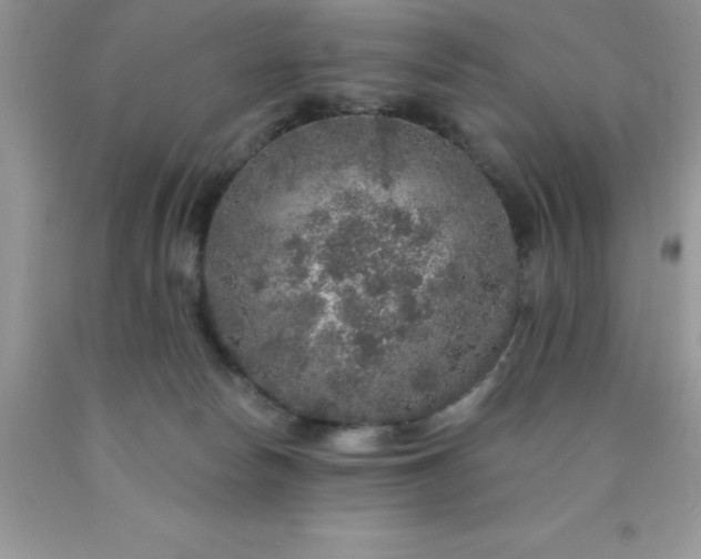 X0000090440178200707272202