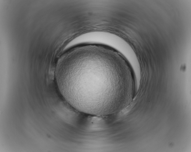 X0000090440180200707272202