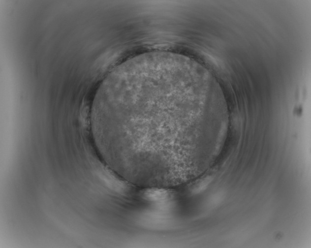 X0000090440181200707272202