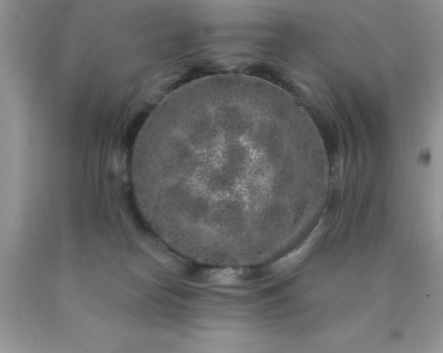 X0000090440182200707272202