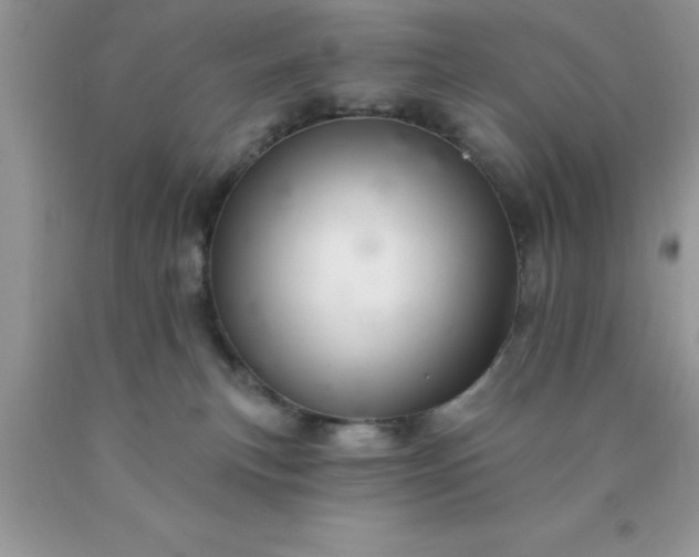 X0000090440183200707272202