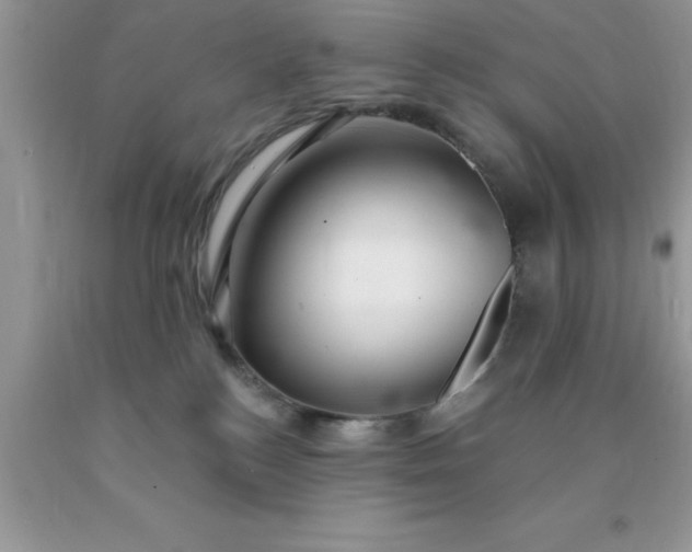 X0000090440184200707272202