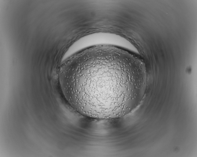 X0000090440186200707272202