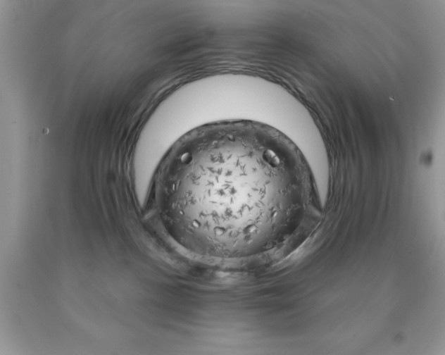 X0000090440188200707272202