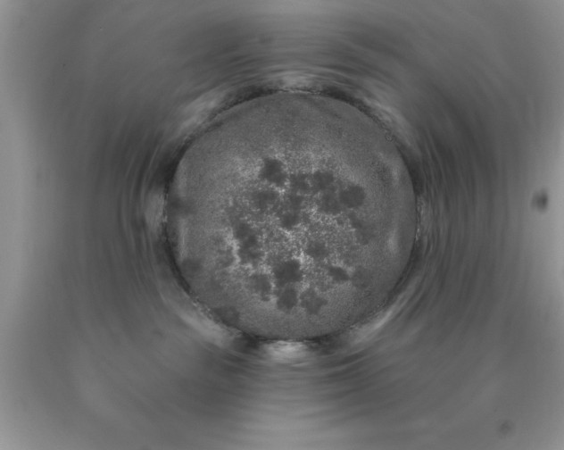 X0000090440189200707272202