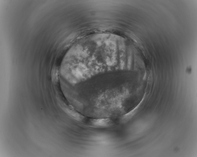 X0000090440191200707272202