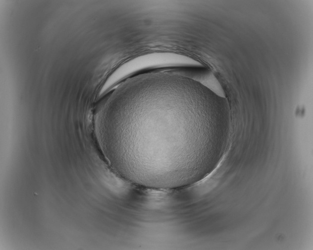 X0000090440192200707272202