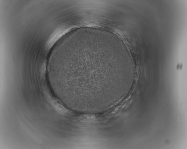 X0000090440194200707272201