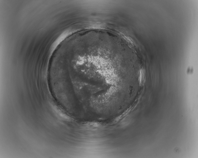 X0000090440195200707272201