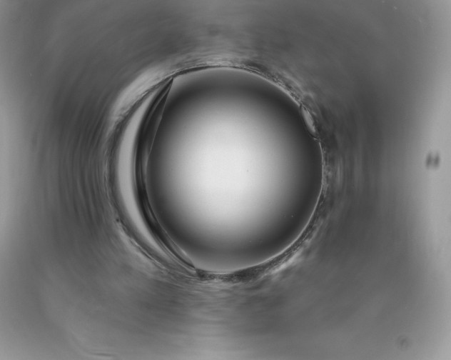 X0000090440197200707272201