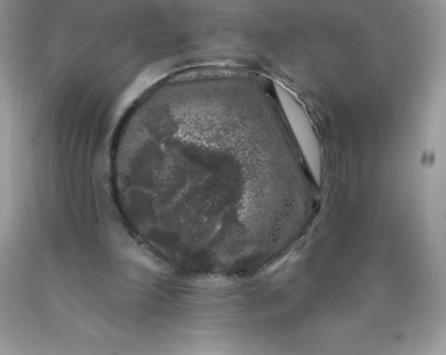 X0000090440198200707272201