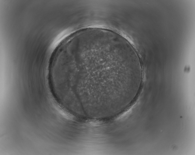 X0000090440199200707272201