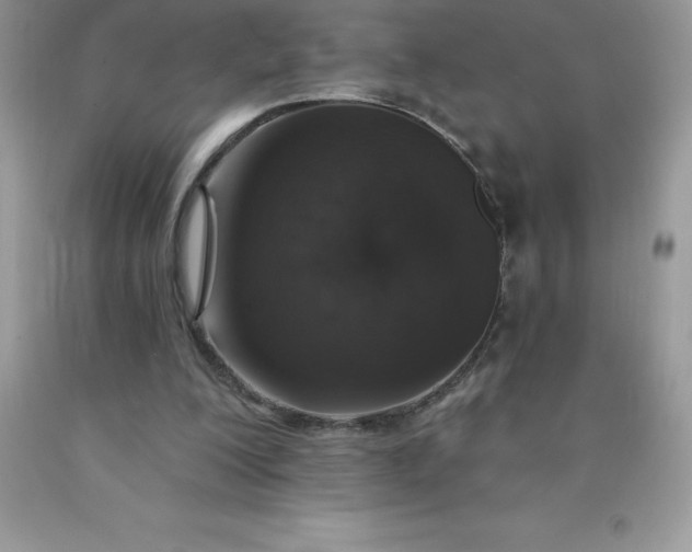 X0000090440200200707272201