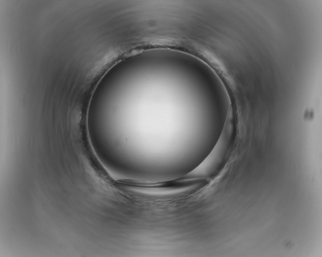 X0000090440201200707272201