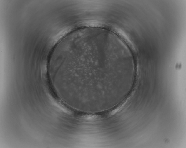 X0000090440202200707272201