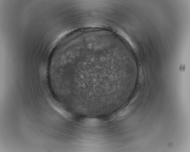 X0000090440203200707272201