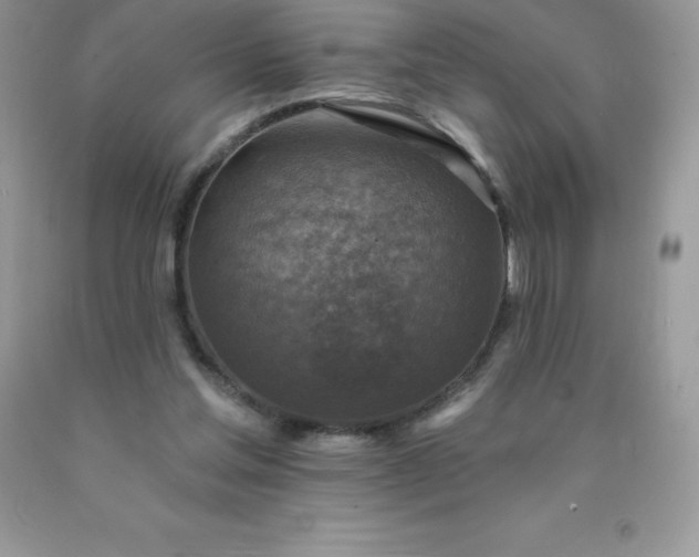 X0000090440205200707272201