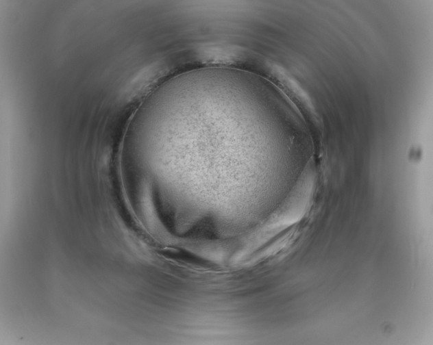 X0000090440209200707272201