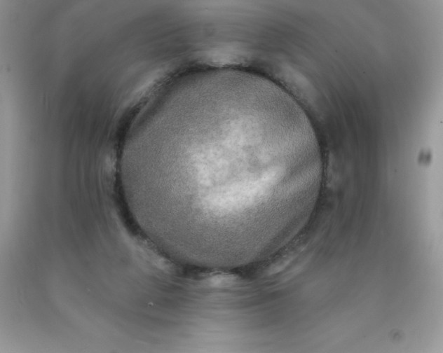 X0000090440210200707272201