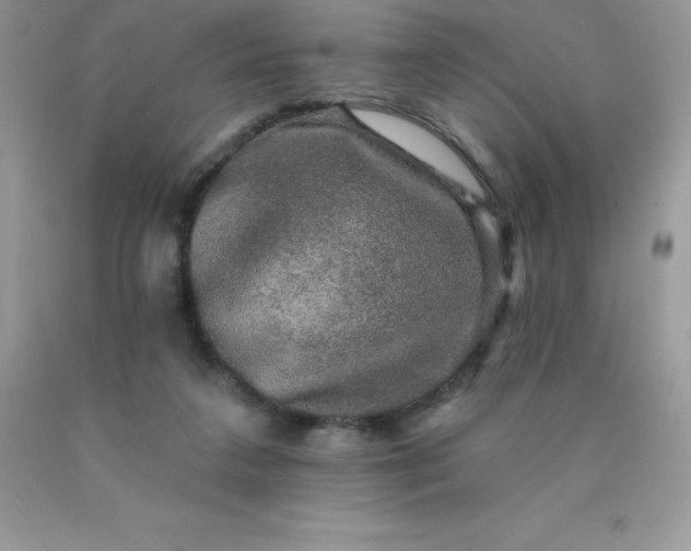 X0000090440211200707272201