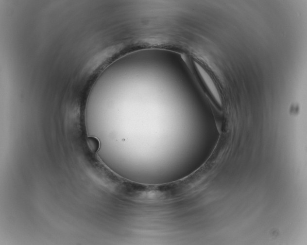 X0000090440212200707272201