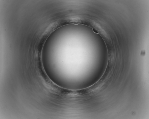 X0000090440213200707272201