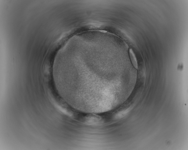 X0000090440215200707272201