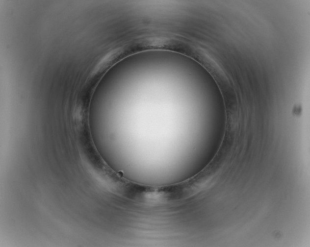 X0000090440216200707272201