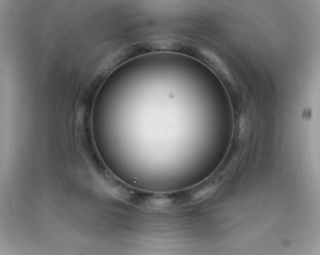 X0000090440217200707272201