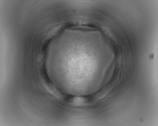 X0000090440218200707272201