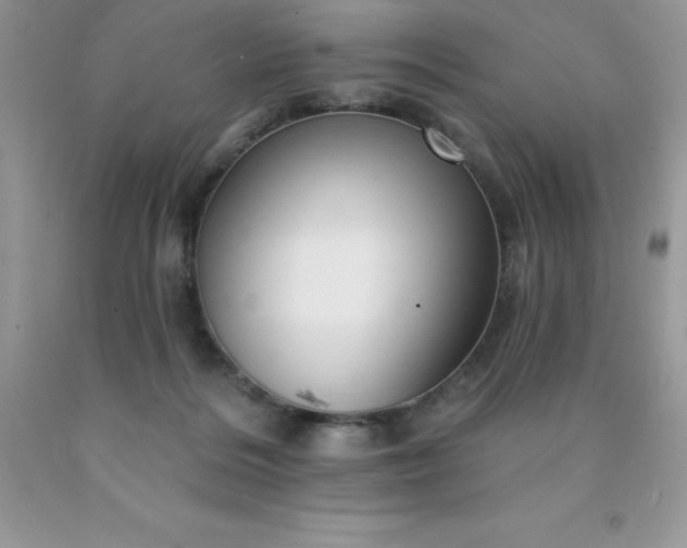 X0000090440220200707272201