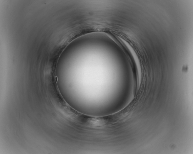 X0000090440221200707272201