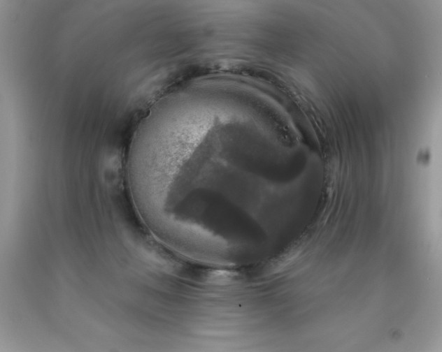 X0000090440222200707272201