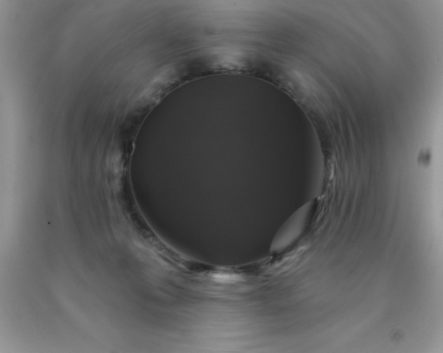 X0000090440223200707272201