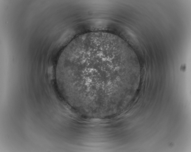 X0000090440224200707272201