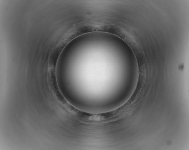 X0000090440225200707272201