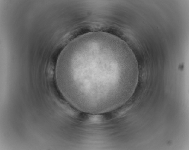 X0000090440226200707272201