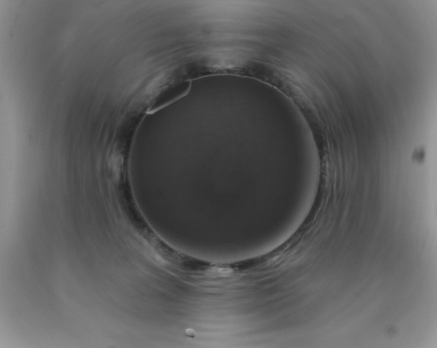 X0000090440227200707272201