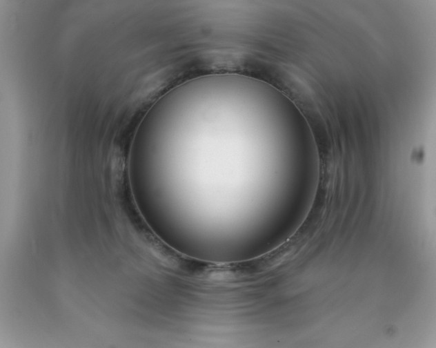 X0000090440228200707272201