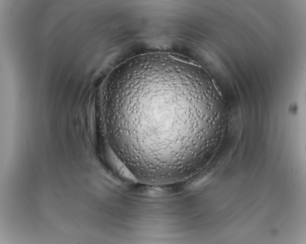 X0000090440229200707272201