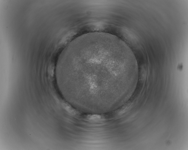 X0000090440230200707272201