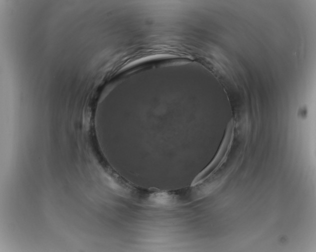 X0000090440231200707272201